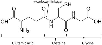 Mitigation of Environmental Stress-Impacts in Plants: Role of Sole and Combinatory Exogenous Application of Glutathione